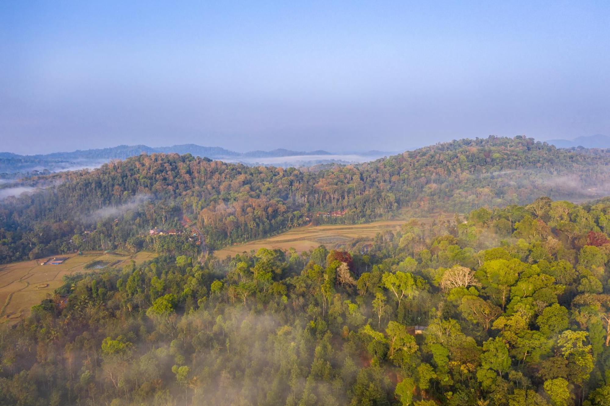 Ama Stays & Trails, Rare Earth Estate Madikeri Exteriör bild