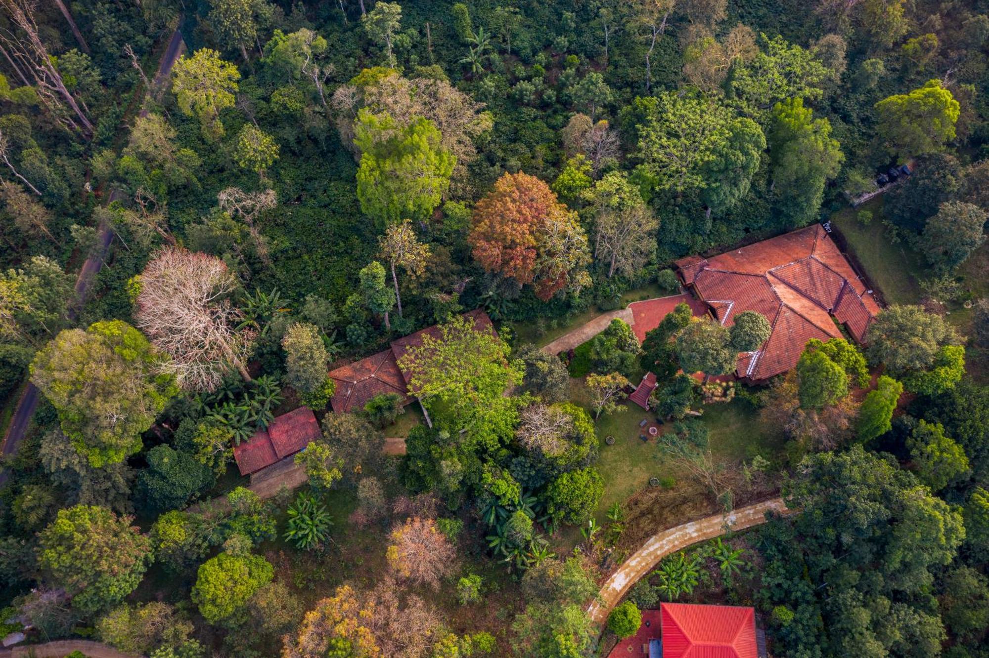 Ama Stays & Trails, Rare Earth Estate Madikeri Exteriör bild