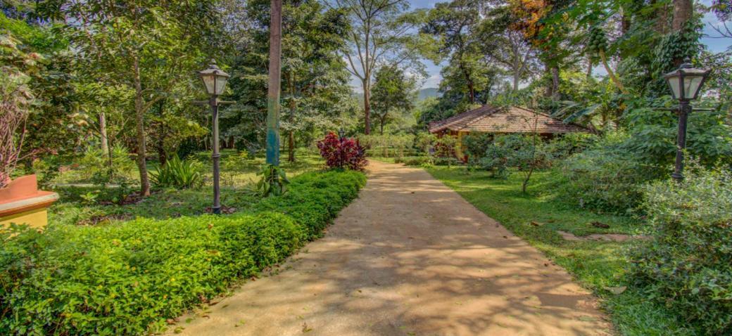 Ama Stays & Trails, Rare Earth Estate Madikeri Exteriör bild